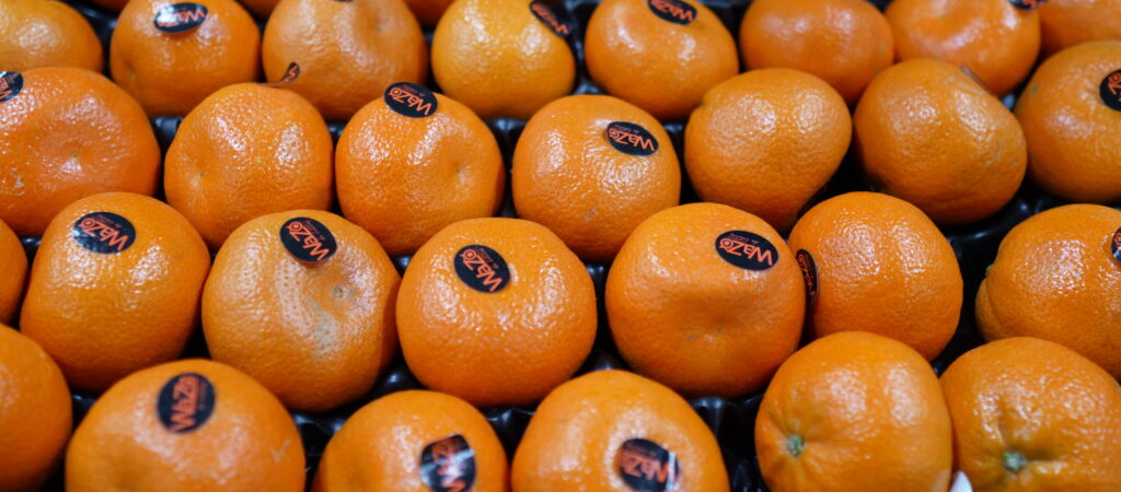 Spanish Citrus Fruit